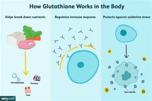 How Glutathione works in the body