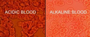 pH Acid Alkaline Blood