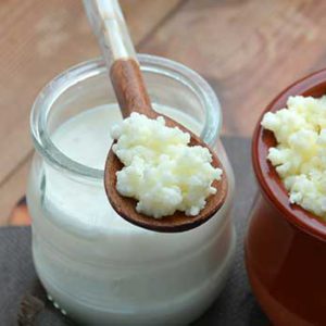 Kefir Grains