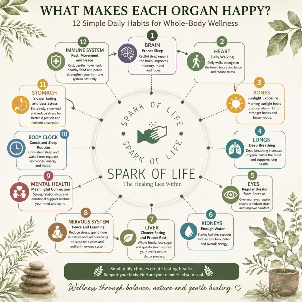 What Makes Each Organ Happy Simple Daily Habits for Whole-Body Wellness