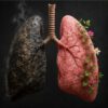 Smoking Health 04 Stop Smoking Programme