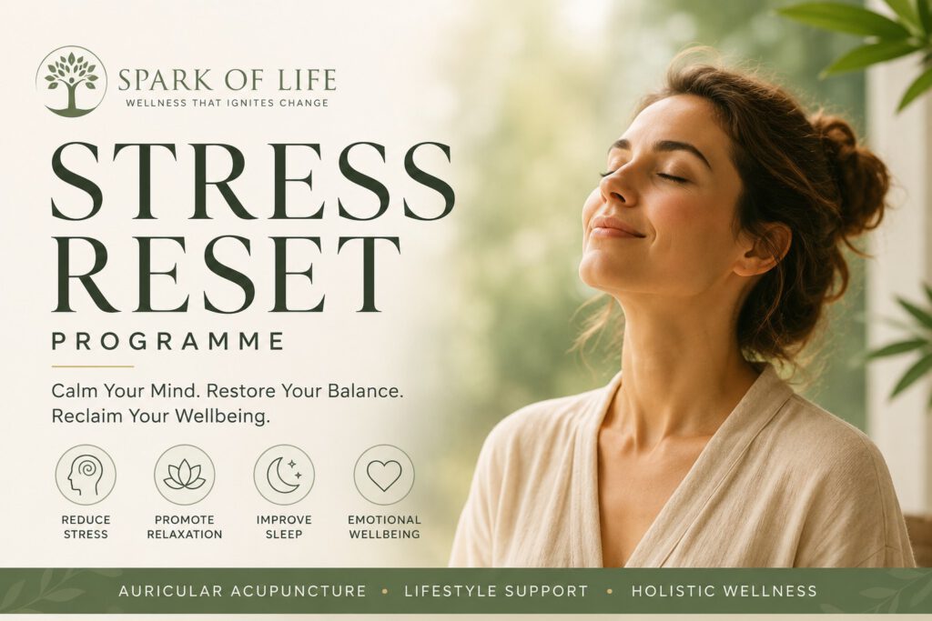 Stress Reset Programme