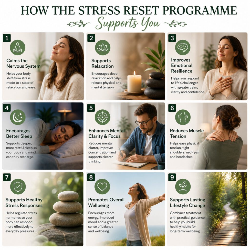 Stress Reset Programme Wellness Support