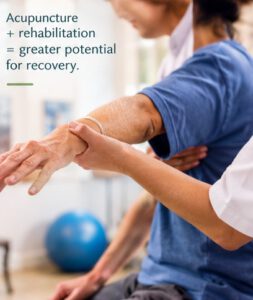 Acupuncture and brain neuroplasticity stroke recovery